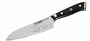 ���� ������ 17 �''� ����� Dragon Arcosteel